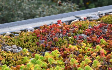 the cost of Warburton green roof installation