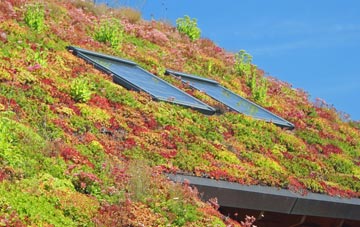 Warburton living roof systems